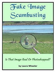 Fake Image Scambusting eBook by Laura Wheeler