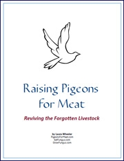 Raising Pigeons for Meat - eBook by Laura Wheeler