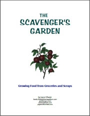 The Scavenger's Garden: eBook by Laura Wheeler