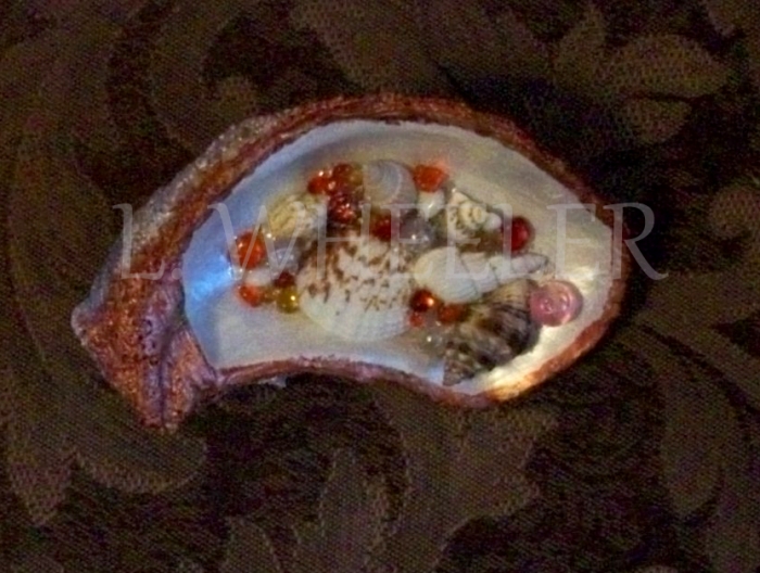 Stash Oystershell and Acrylic Painting by Laura Wheeler
