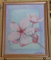 Cherry Blossoms Colored Pencil Painting by Laura Wheeler