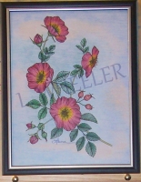 Flame Wild Rose Colored Pencil Painting by Laura Wheeler