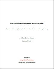 MicroBusiness Startup Opportunities for 2014 eBooklet