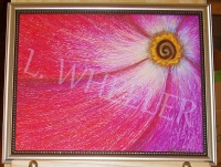 Posy Pirouette Oil Pastel Painting by Laura Wheeler