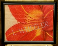 Red Daylily Oil Pastel Painting by Laura Wheeler