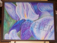 Oh! Wisteria! Oil Pastel Painting by Laura Wheeler